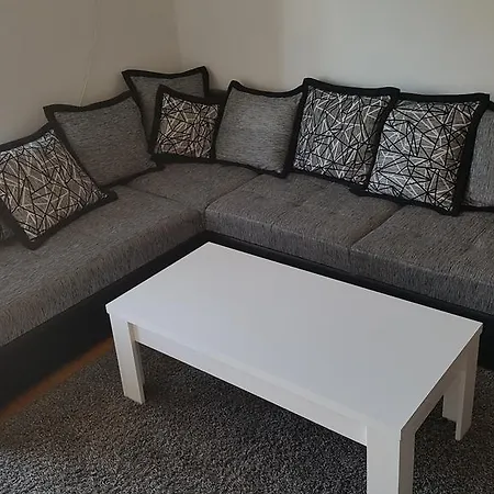 Zebra * Подгорица