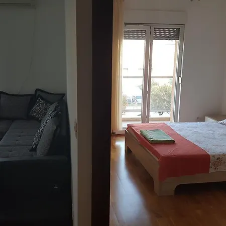 Zebra Подгорица