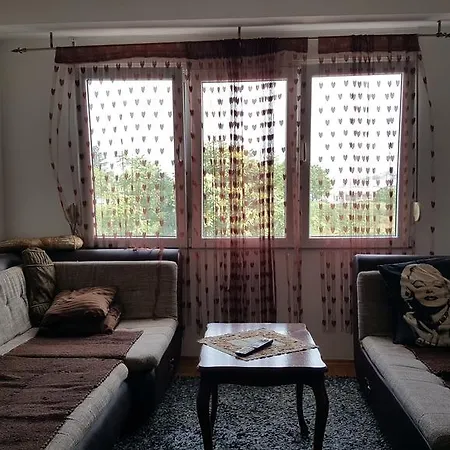 Zebra Подгорица