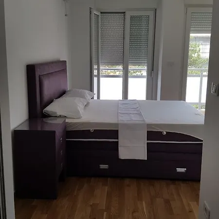 Zebra * Подгорица