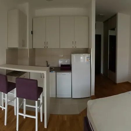 Zebra Подгорица