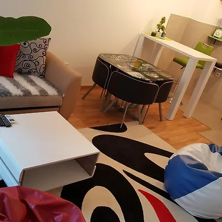 Zebra Podgorica