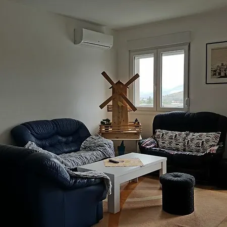 Zebra *
