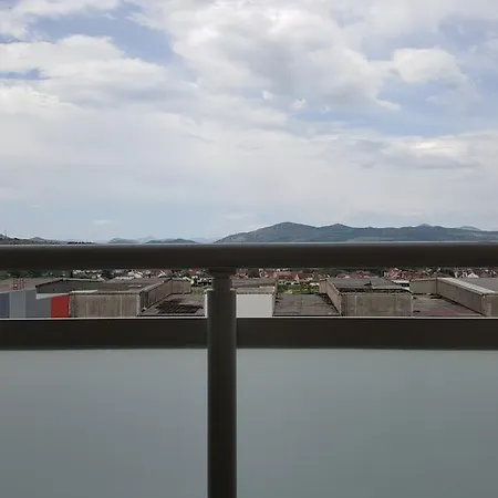 Zebra * Podgorica