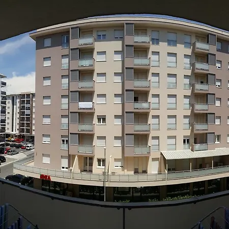 Zebra * Podgorica