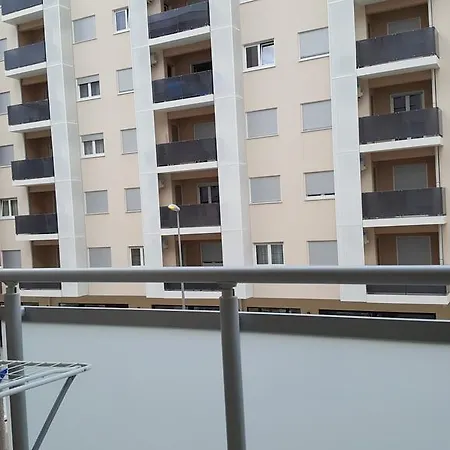 Zebra Apartament
