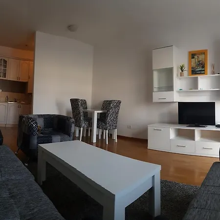 Zebra Podgorica