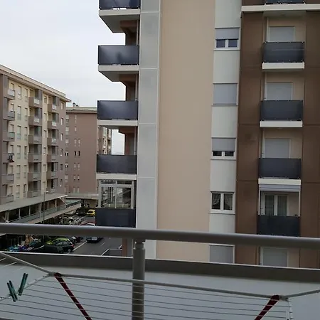 Zebra * Podgorica