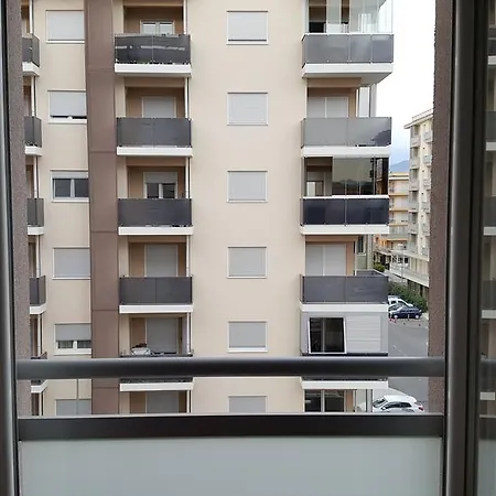 Zebra * Podgorica