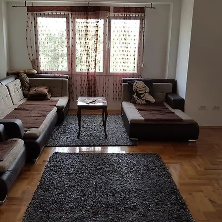 Zebra *