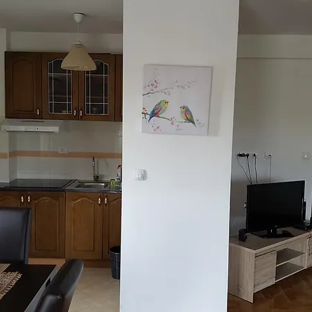 Zebra Apartament *