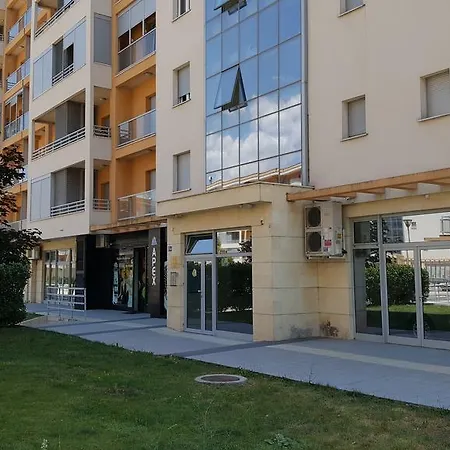 Zebra Podgorica
