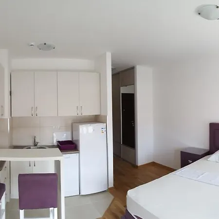 Zebra Apartament