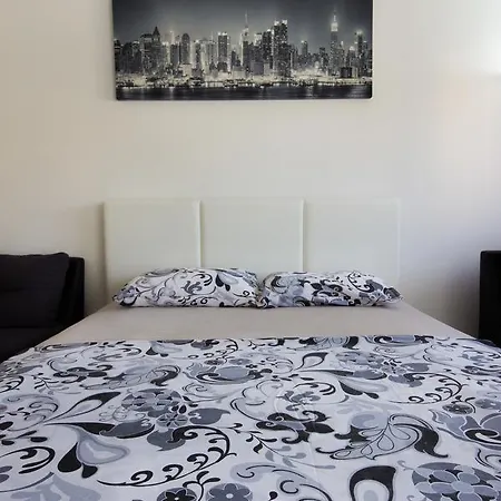 Zebra Podgorica