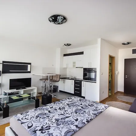 Zebra Apartament