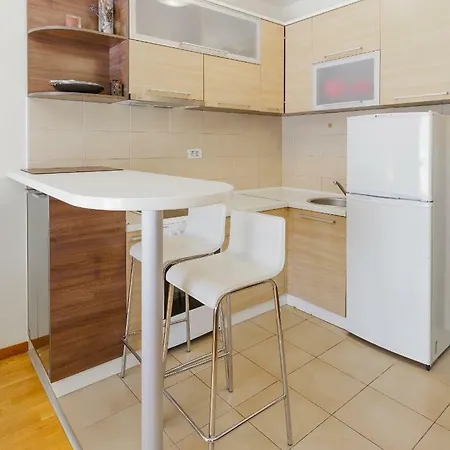 Zebra * Podgorica